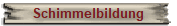 Schimmelbildung