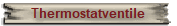 Thermostatventile